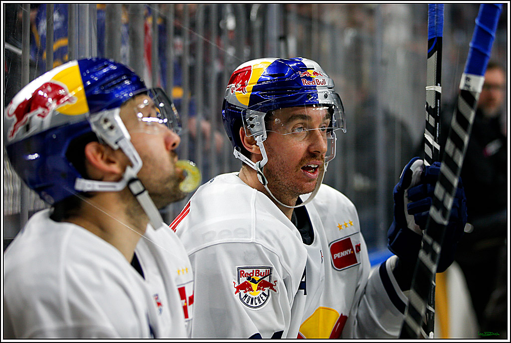 PENNY DEL; Koelner Haie- Red BUll Muenchen; Koeln, 08.11.2022